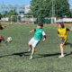 A Pankúchova vs Holíčska