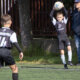 MiniPenalta-17